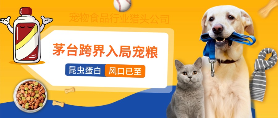 茅台做宠粮：万亿巨头为何盯上虫蛋白这一小众赛道？|亿猎猎头洞察