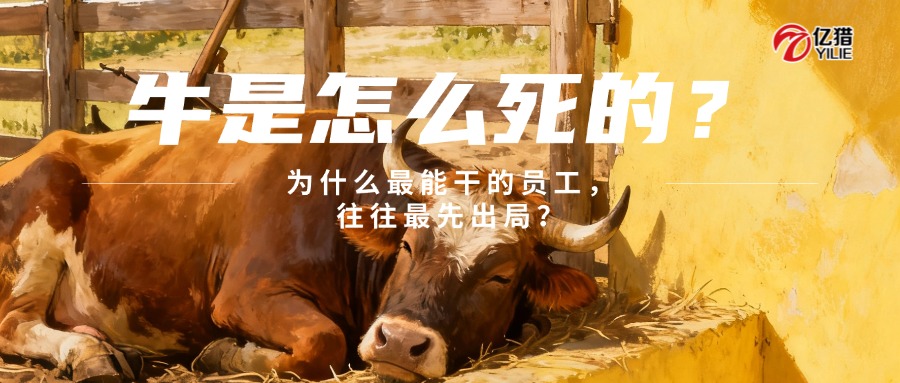 职场最扎心的真相：为什么最能干的员工，往往最先出局？